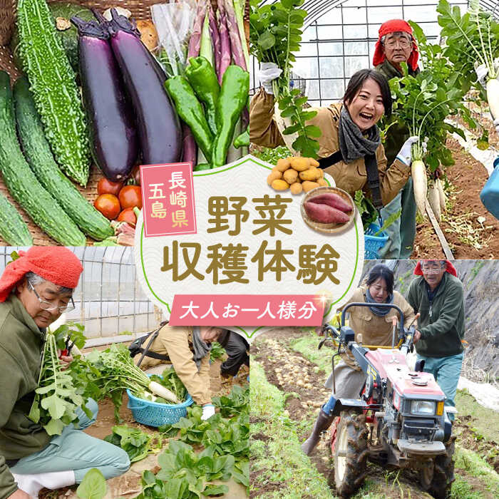 旬野菜の収穫体験 お土産の特典付 大人1人分 五島市/株式会社五島のやぁしゃ便[PBG006] 体験 野菜 収穫 やさい 五島 農業