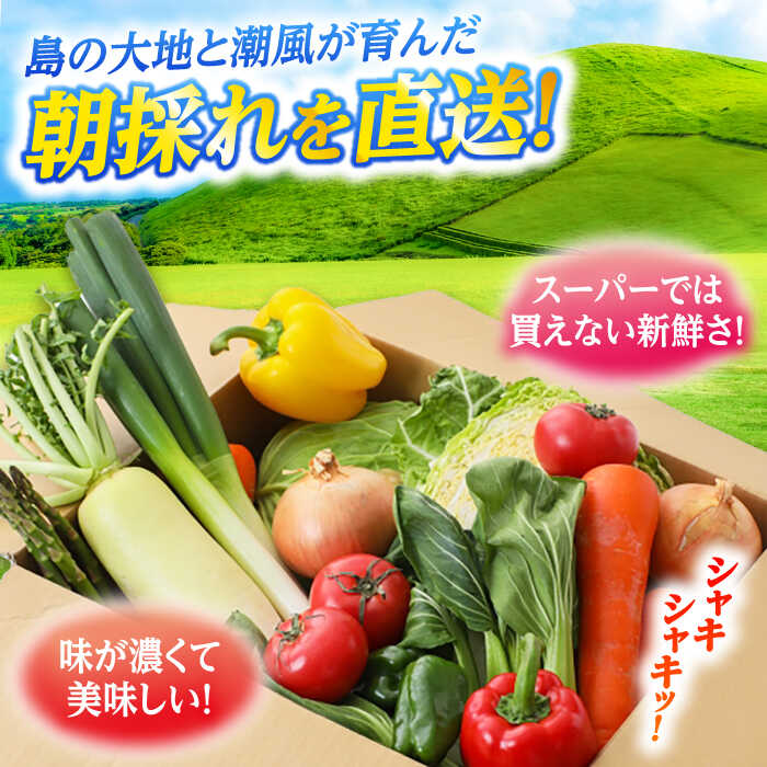 【ふるさと納税】【4回定期便】　旬野菜セット7〜10品目（五島列島産）5kg未満　五島市/やぁしゃ便[PBG009] やさい 詰め合わせ 新鮮 長崎 - 画像2