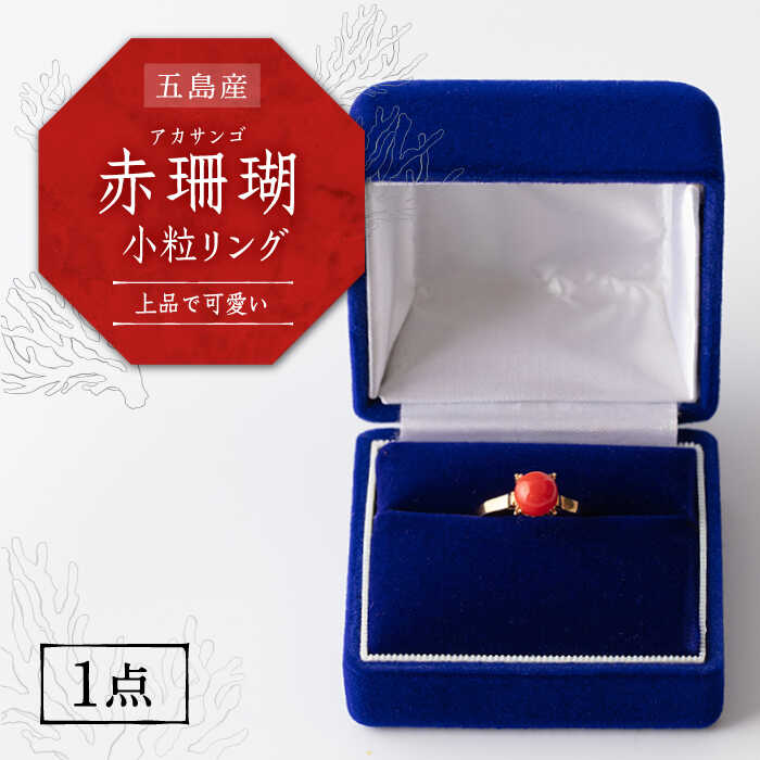 【上品でかわいい赤珊瑚リング】五島産 赤珊瑚 小粒リング 限定 アクセサリー 指輪 五島市/出口さんご [PBK025]