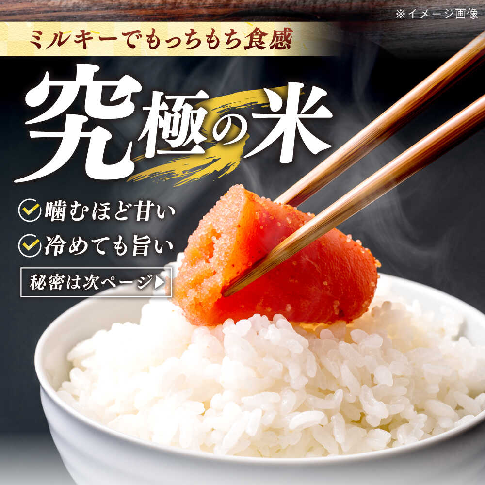 【ふるさと納税】【冷めてもおいしい】五島産 ミルキー舞 5kg ミルキークイーン コメ 米 こめ 五島市/ファームランド五島 [PBN003] 白米 お米 ごはん - 画像3