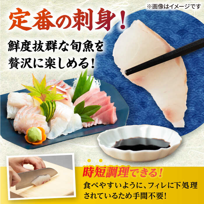 【ふるさと納税】【五島列島産】高級朝獲れ鮮魚 約2.5kg（真空パック/下処理済） 五島市/マルセイ水産[PBT002] 魚 鮮魚 詰め合わせ 刺身 五島 久賀島 海鮮 セット 旬 さかな さしみ サムネイル2