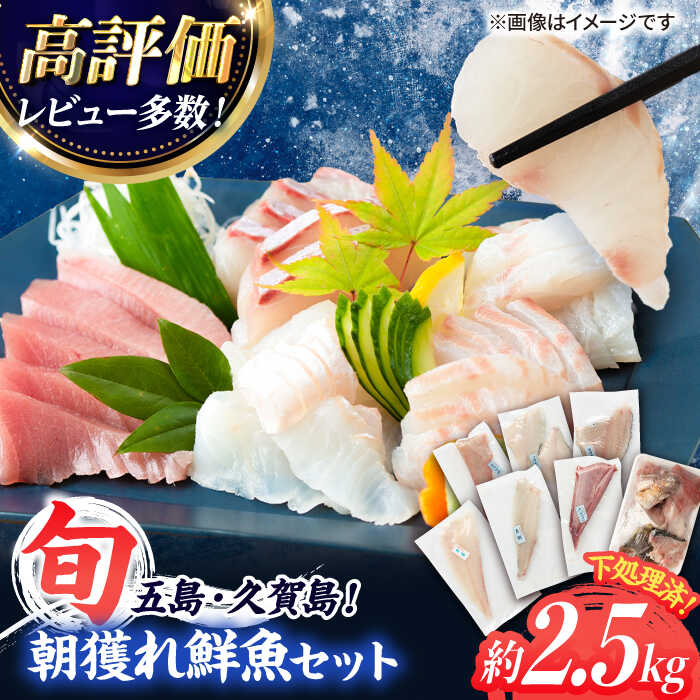 【五島列島産】高級朝獲れ鮮魚 約2.5kg（真空パック/下処理済） 五島市/マルセイ水産[PBT002] 魚 鮮魚 詰め合わせ 刺身 五島 久賀島 海鮮 セット 旬 さかな さしみ