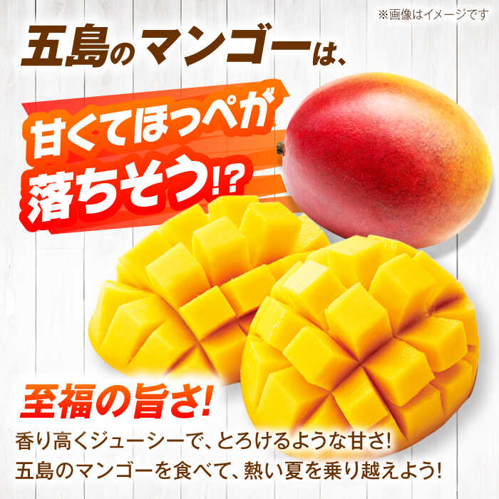 【ふるさと納税】【先行予約】栄養満点 五島産完熟マンゴー (3玉入) 五島市/HPIファーム [PCP001] サムネイル2
