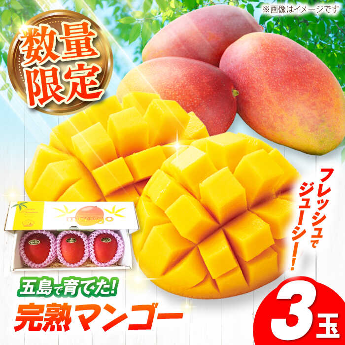 【先行予約】栄養満点 五島産完熟マンゴー (3玉入) 五島市/HPIファーム [PCP001]