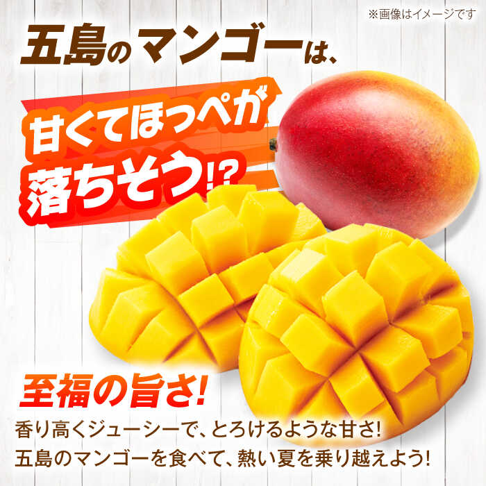 【ふるさと納税】【先行予約】栄養満点 五島産完熟マンゴー (2玉入)五島市/HPIファーム [PCP002] サムネイル2