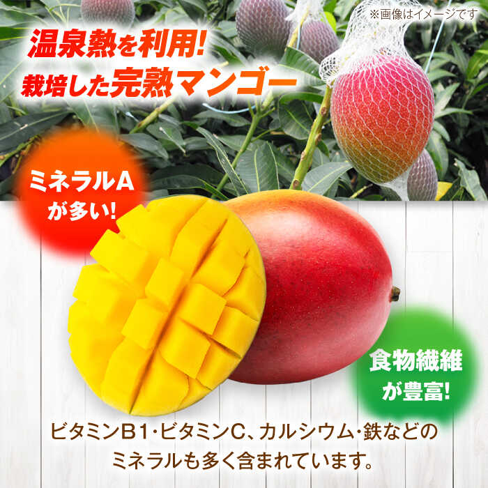 【ふるさと納税】【先行予約】栄養満点 五島産完熟マンゴー (2玉入)五島市/HPIファーム [PCP002] サムネイル3