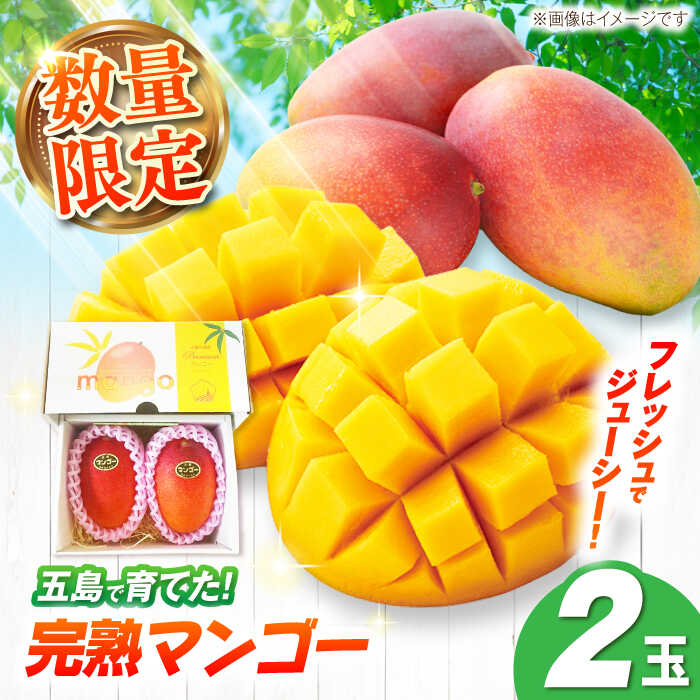 【先行予約】栄養満点 五島産完熟マンゴー (2玉入)五島市/HPIファーム [PCP002]