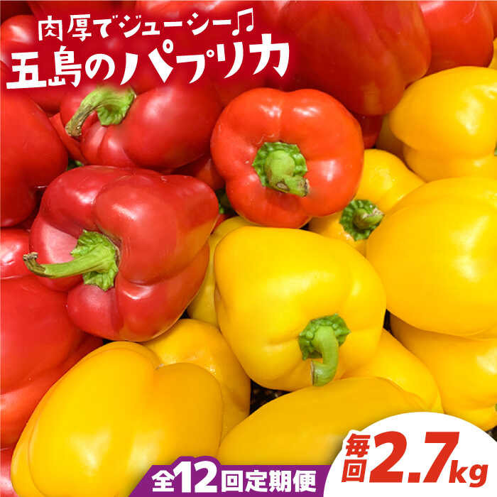 【全12回定期便】 五島のパプリカ 約2.7kg 五島市/HPIファーム [PCP006] 野菜 やさい 国産 新鮮 緑黄色野菜 産地直送 とれたて