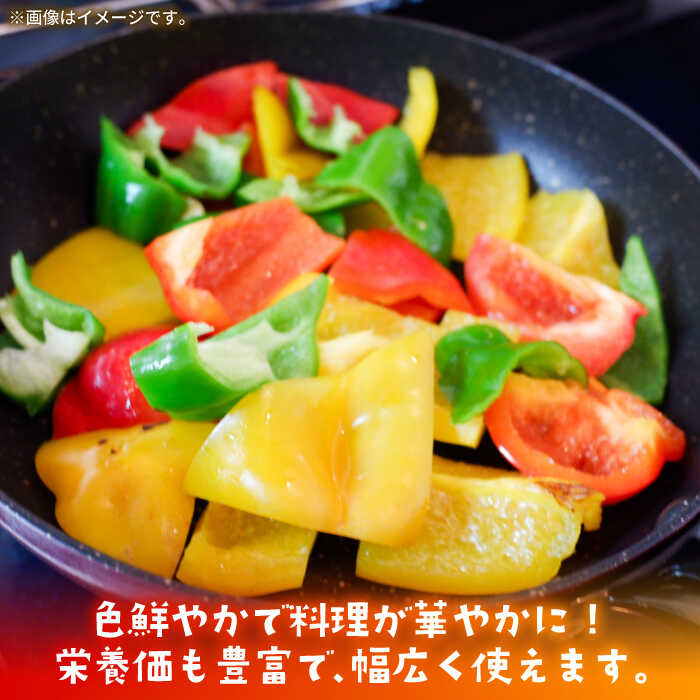 【ふるさと納税】【肉厚ジューシー】五島のパプリカ 約1.2kg 五島市/HPIファーム [PCP007] 野菜 やさい 国産 新鮮 緑黄色野菜 産地直送 とれたて サムネイル3