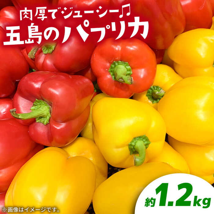 【肉厚ジューシー】五島のパプリカ 約1.2kg 五島市/HPIファーム [PCP007] 野菜 やさい 国産 新鮮 緑黄色野菜 産地直送 とれたて