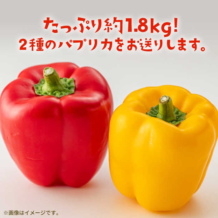 【ふるさと納税】【肉厚ジューシー】五島のパプリカ 約1,8kg 五島市/HPIファーム [PCP008] 野菜 やさい 国産 新鮮 緑黄色野菜 産地直送 とれたて - 画像2