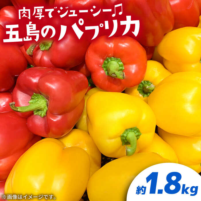 【肉厚ジューシー】五島のパプリカ 約1,8kg 五島市/HPIファーム [PCP008] 野菜 やさい 国産 新鮮 緑黄色野菜 産地直送 とれたて