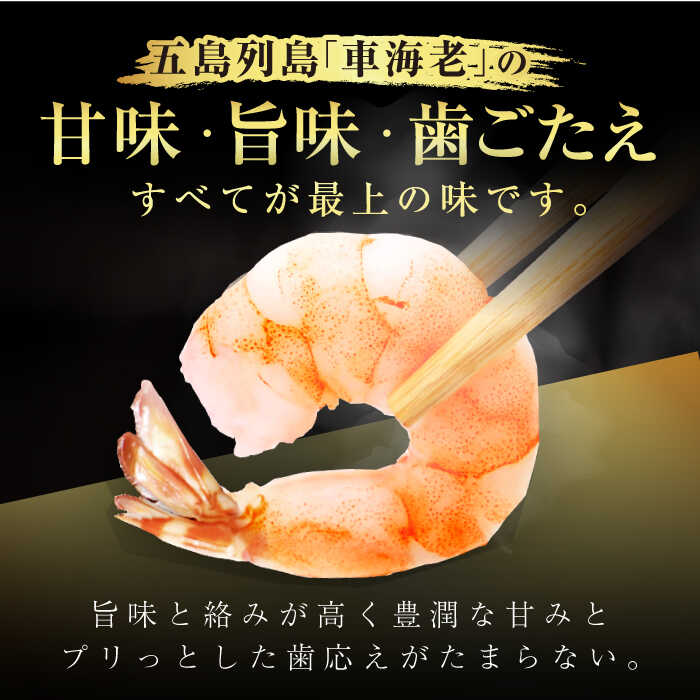 【ふるさと納税】7日程度発送）五島特産 ボイル車海老500g（250g×2P） 五島市/拓水 五島事業場[PCU004] エビ えび 海鮮 海産物 冷凍 自然解凍 ムキエビ スピード 最短 最速 発送 エビ 尾付き むきえび サムネイル2