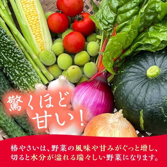 【ふるさと納税】何が届くかはお楽しみ 椿やさいの野菜セット(8-10品)詰合せ 五島市/いきいきファーム [PCY001] 詰合せ 詰め合わせ 野菜 お野菜 おまかせ おたのしみ BOX ボックス お取り寄せ - 画像3