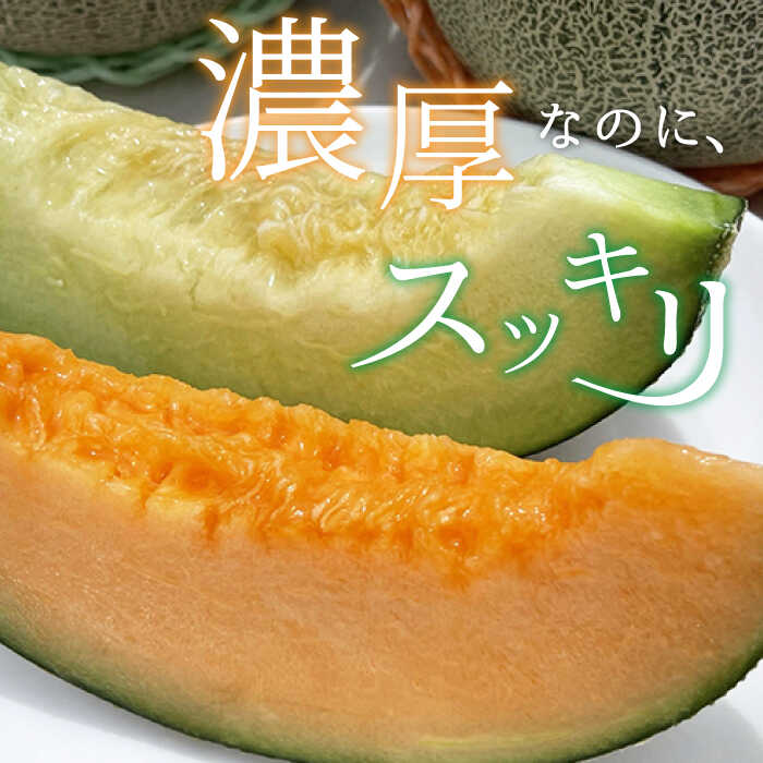 【ふるさと納税】【先行予約】【2026年6月順次発送】やしろ農園の椿メロン 五島市 / いきいきファーム [PCY008] 赤肉 緑 メロン フルーツ 果物 くだもの 食べ比べ 数量限定 限定 五島 長崎 五島列島 サムネイル2