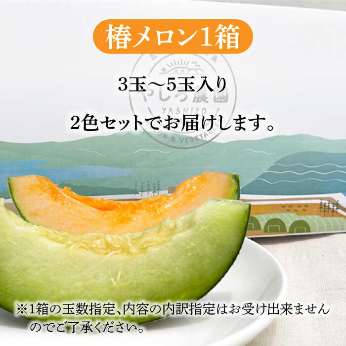 【ふるさと納税】【先行予約】【2026年6月順次発送】やしろ農園の椿メロン 五島市 / いきいきファーム [PCY008] 赤肉 緑 メロン フルーツ 果物 くだもの 食べ比べ 数量限定 限定 五島 長崎 五島列島 サムネイル3