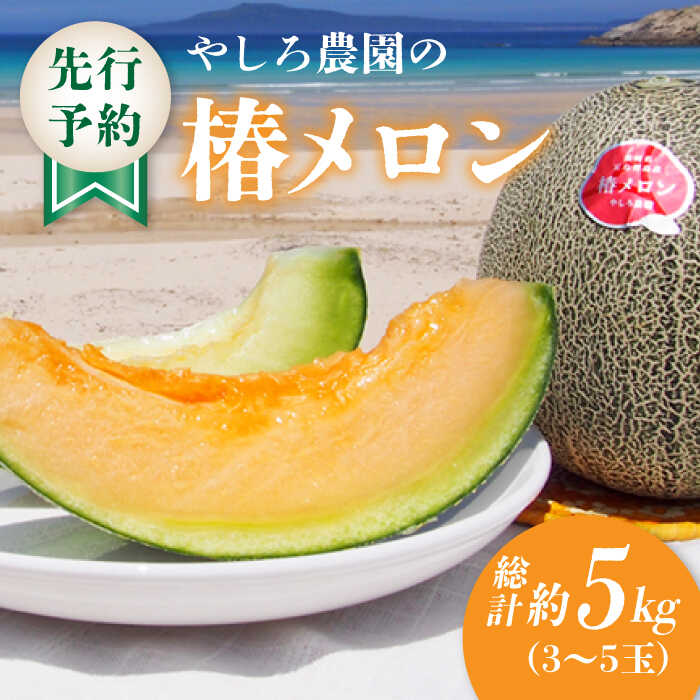 【先行予約】【2026年6月順次発送】やしろ農園の椿メロン 五島市 / いきいきファーム [PCY008] 赤肉 緑 メロン フルーツ 果物 くだもの 食べ比べ 数量限定 限定 五島 長崎 五島列島