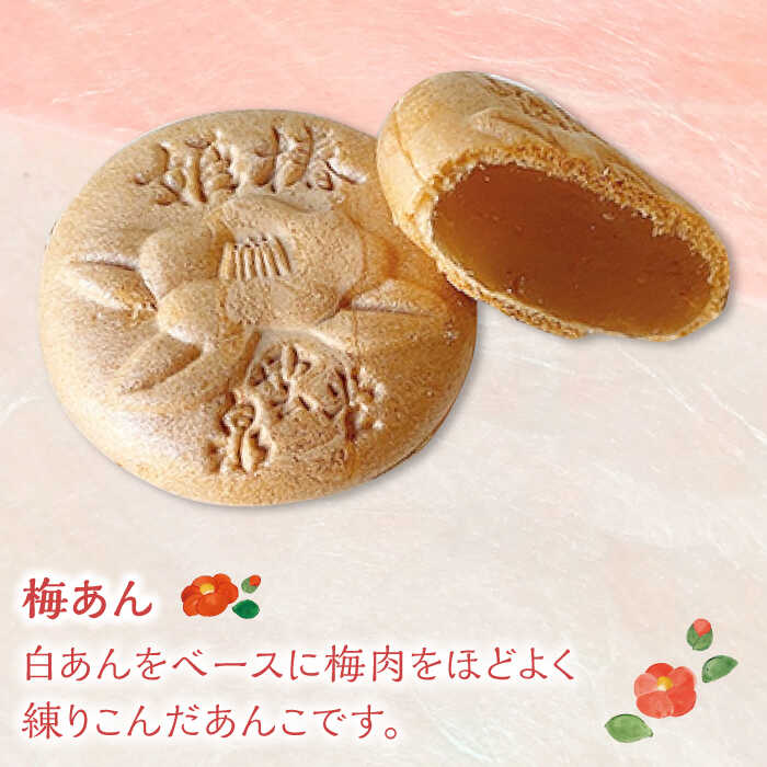 【ふるさと納税】椿もなか 2種詰め合わせ 白あん 梅肉 芋 常温 五島市 / 雲泉堂 [PDA001] - 画像3