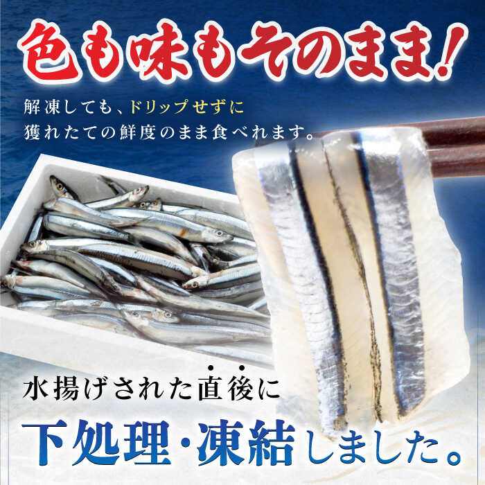 【ふるさと納税】五島産 きびなご 刺身用 180尾（20尾×9パック） 五島市/鯛福丸水産[PDP001] きびな さしみ お刺身 冷凍 海鮮 海産 海の幸 サムネイル3