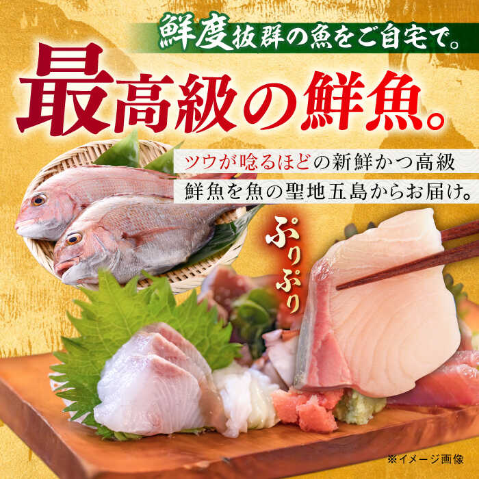 【ふるさと納税】【五島列島直送】朝獲れ高級鮮魚セット2kg 五島市 / 鯛福丸水産[PDP002] 魚 鮮魚 セット 海鮮 直送 さかな 詰合せ 冷蔵 サムネイル2