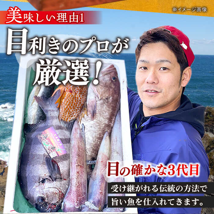 【ふるさと納税】【五島列島直送】朝獲れ高級鮮魚セット2kg 五島市 / 鯛福丸水産[PDP002] 魚 鮮魚 セット 海鮮 直送 さかな 詰合せ 冷蔵 サムネイル3
