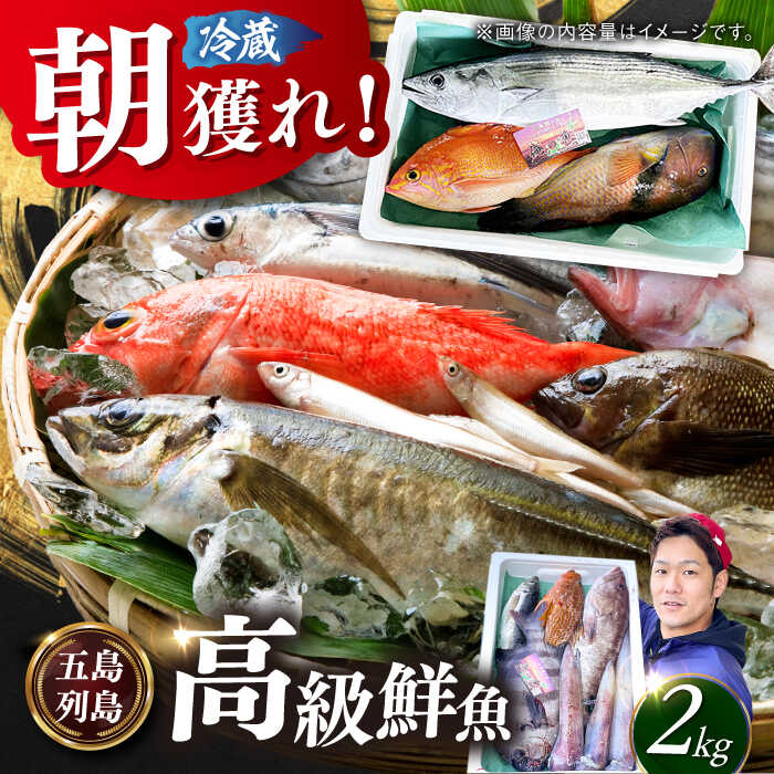 【五島列島直送】朝獲れ高級鮮魚セット2kg 五島市 / 鯛福丸水産[PDP002] 魚 鮮魚 セット 海鮮 直送 さかな 詰合せ 冷蔵