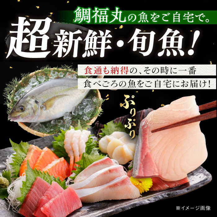 【ふるさと納税】【五島列島直送】朝獲れ鮮魚セット2kg 五島市/鯛福丸水産[PDP008] 魚 鮮魚 セット 海鮮 直送 さかな 詰合せ 冷蔵 サムネイル2