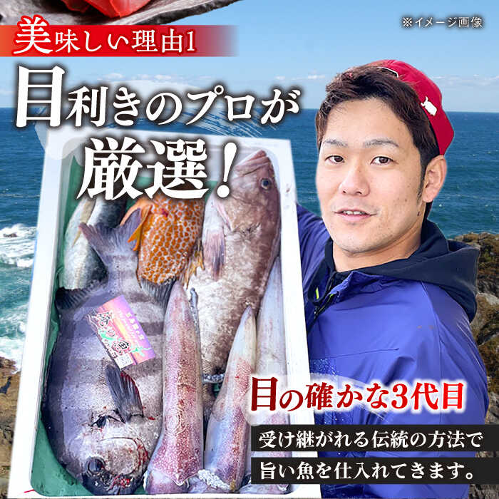 【ふるさと納税】【五島列島直送】朝獲れ鮮魚セット2kg 五島市/鯛福丸水産[PDP008] 魚 鮮魚 セット 海鮮 直送 さかな 詰合せ 冷蔵 サムネイル3