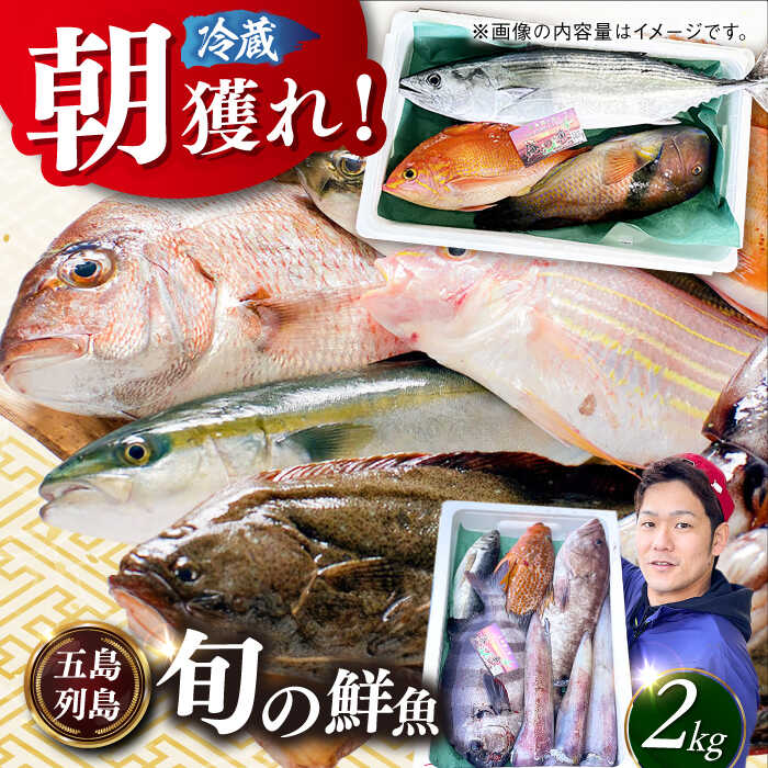 【五島列島直送】朝獲れ鮮魚セット2kg 五島市/鯛福丸水産[PDP008] 魚 鮮魚 セット 海鮮 直送 さかな 詰合せ 冷蔵
