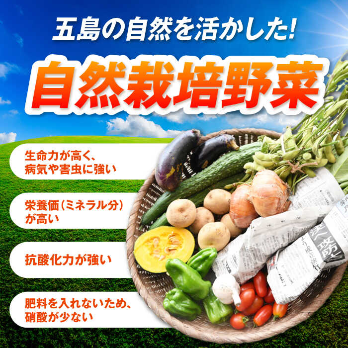 【ふるさと納税】【全3回定期便】有機農法・旬の野菜詰め合わせ 五島市/ぷらっと農園 [PDS007] - 画像2