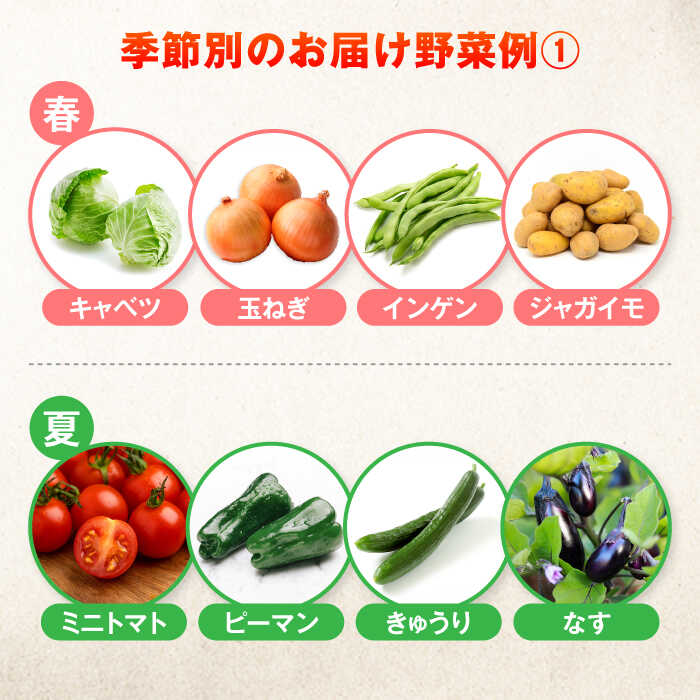 【ふるさと納税】【全10回定期便】有機農法・旬の野菜詰め合わせ 五島市/ぷらっと農園[PDS010] - 画像3