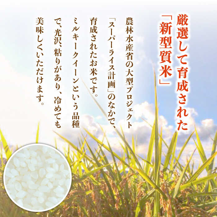 【ふるさと納税】スイートミルク 5キロ 五島市 / 山口商店 [PEC002] 米 お米 こめ おこめ ごはん ご飯 白米 精米 - 画像2