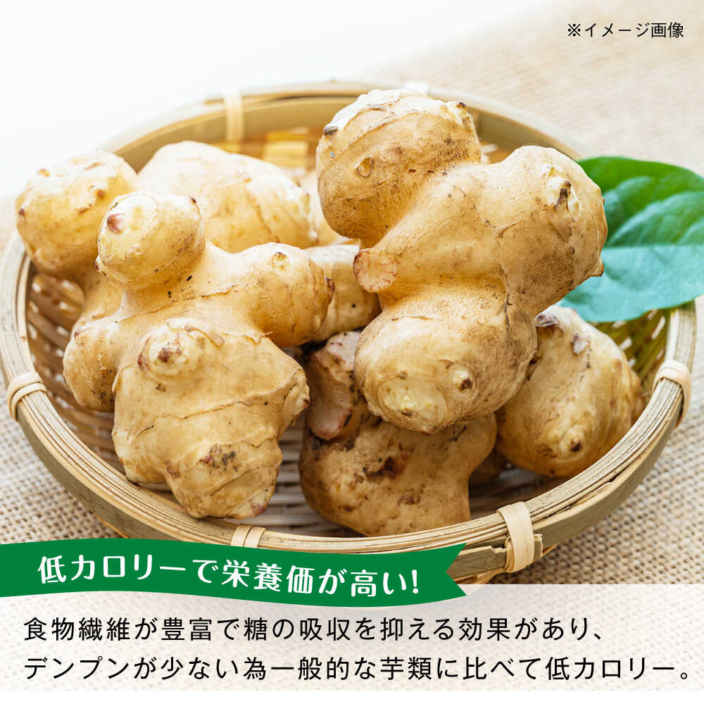 【ふるさと納税】生キクイモ（菊芋）2kg 五島市/五島列島自然のめぐみ[PGM005] - 画像2