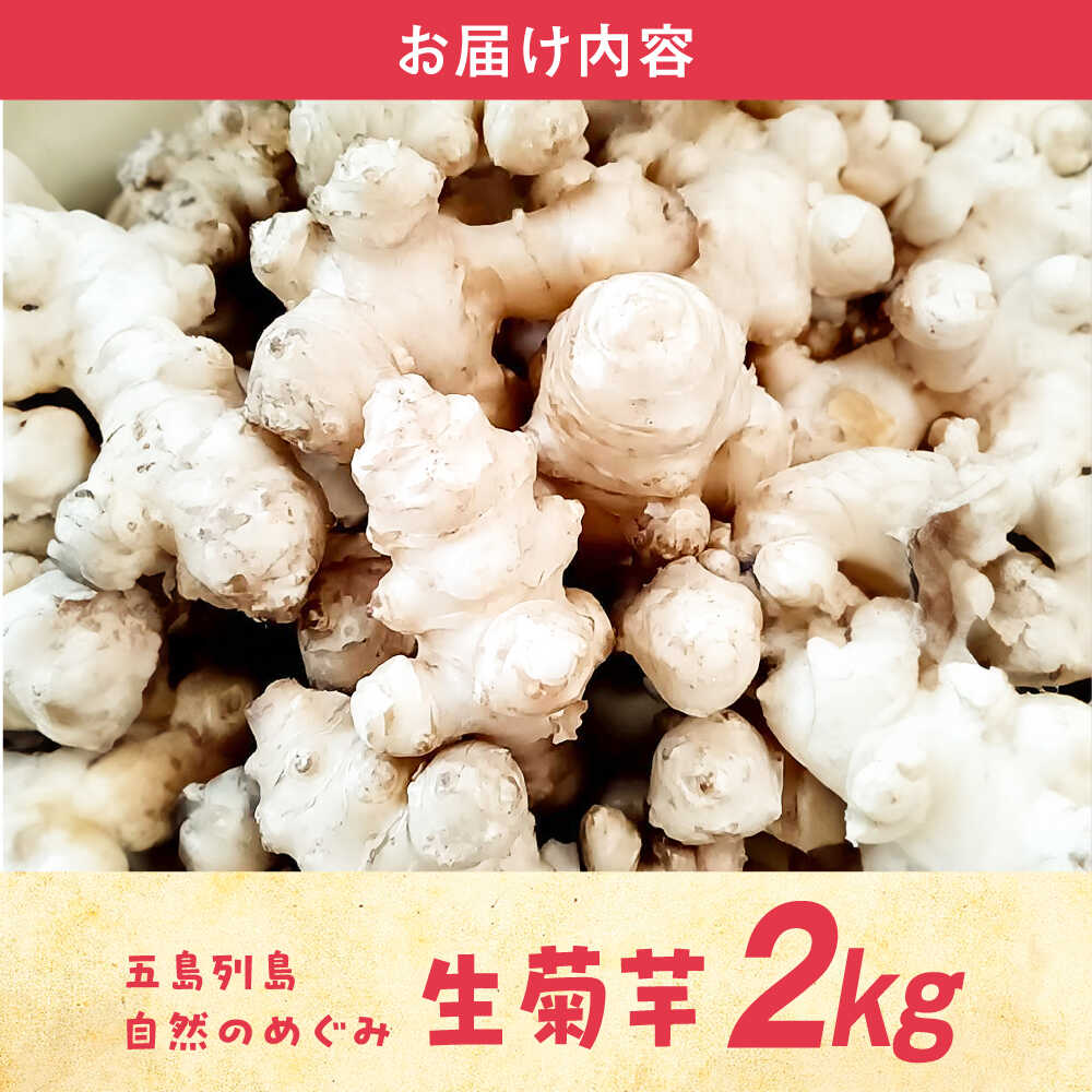 【ふるさと納税】生キクイモ（菊芋）2kg 五島市/五島列島自然のめぐみ[PGM005] - 画像3