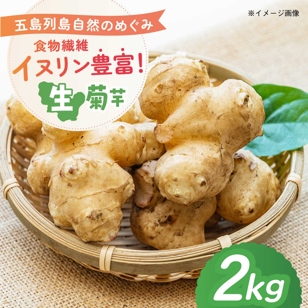 生キクイモ（菊芋）2kg 五島市/五島列島自然のめぐみ[PGM005]