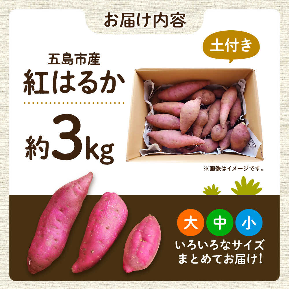 【ふるさと納税】【2025年10月より発送】島の元気なさつまいも!ねっとり甘い『紅はるか』3kg 五島市/あわたに農園[PGO001] さつまいも 紅はるか 甘い ねっとり 野菜 - 画像3
