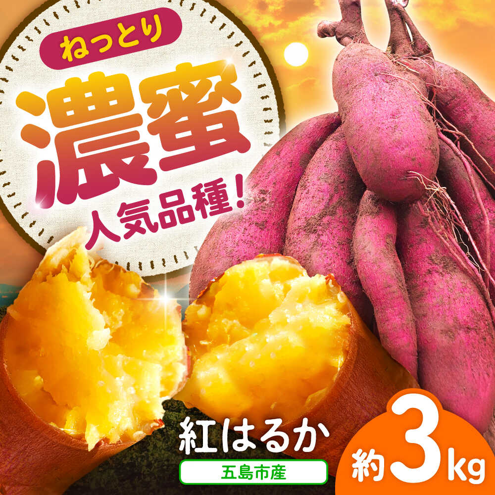 【2025年10月より発送】島の元気なさつまいも!ねっとり甘い『紅はるか』3kg 五島市/あわたに農園[PGO001] さつまいも 紅はるか 甘い ねっとり 野菜