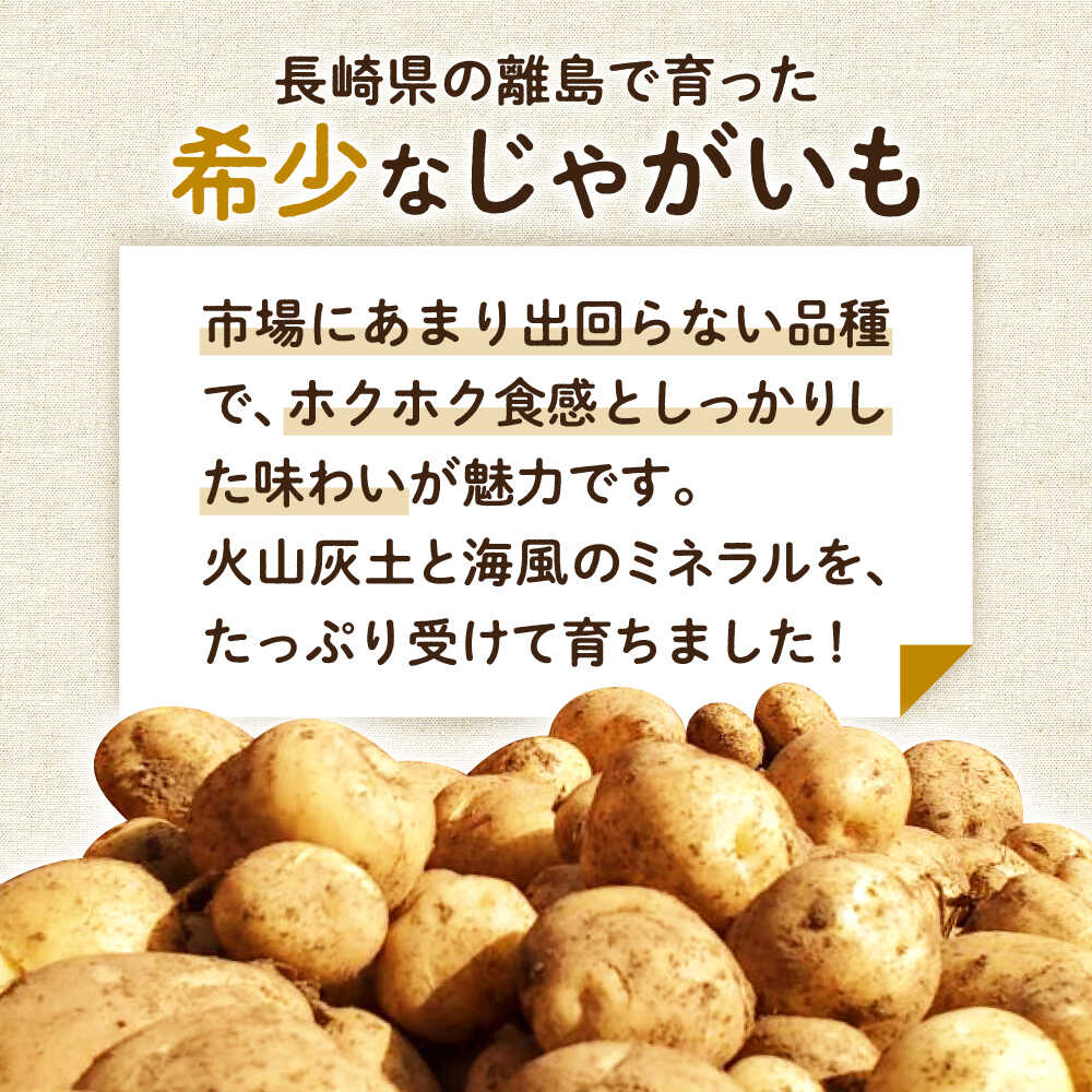 【ふるさと納税】【2026年6月より発送】島の元気なじゃがいも!旨味抜群の『デジマ』2kg 五島市/あわたに農園[PGO003] じゃがいも じゃが芋 デジマ 野菜 - 画像2