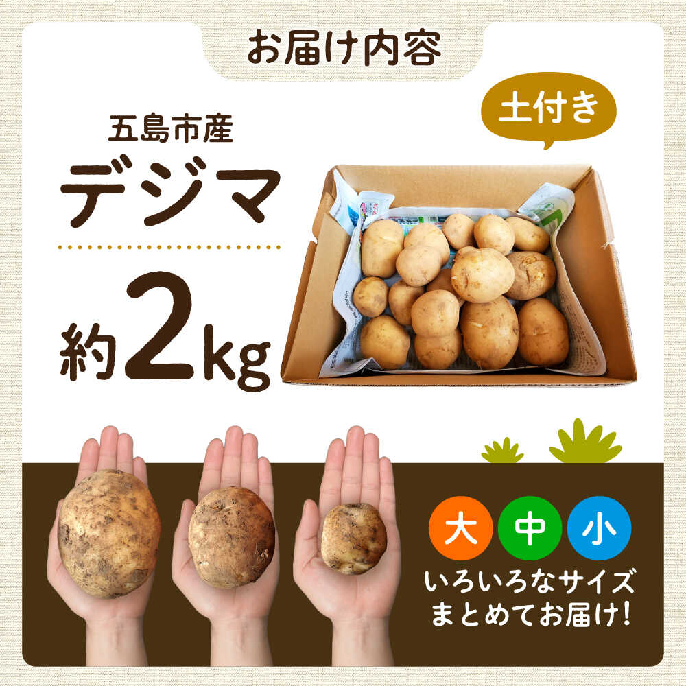 【ふるさと納税】【2026年6月より発送】島の元気なじゃがいも!旨味抜群の『デジマ』2kg 五島市/あわたに農園[PGO003] じゃがいも じゃが芋 デジマ 野菜 - 画像3
