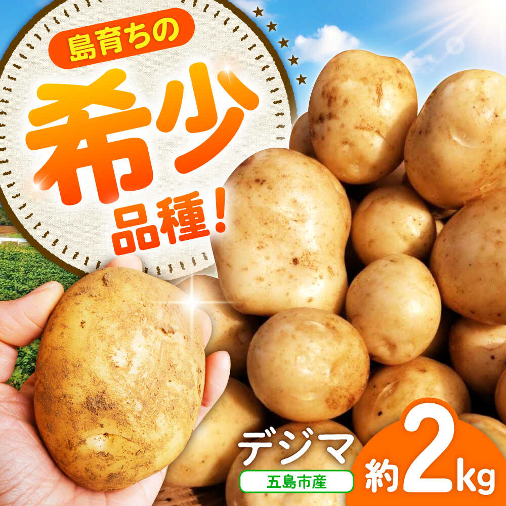 【2026年6月より発送】島の元気なじゃがいも!旨味抜群の『デジマ』2kg 五島市/あわたに農園[PGO003] じゃがいも じゃが芋 デジマ 野菜
