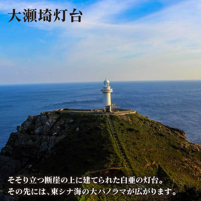 【ふるさと納税】長崎県五島市の対象施設で使える楽天トラベルクーポン 寄付額12,000円 [PZZ001] 宿泊 九州 ホテル 五島市 国内旅行 - 画像2