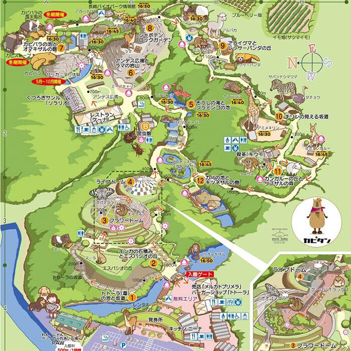 【ふるさと納税】Zooっと近くにふれあえる動植物園の入園券＆商品券＜長崎バイオパーク＞ [CAB001] 動物園 チケット 入園チケット 体験 長崎県 西海市 入園券 サファリパーク 動物 バイオパーク 長崎 西海 サムネイル3