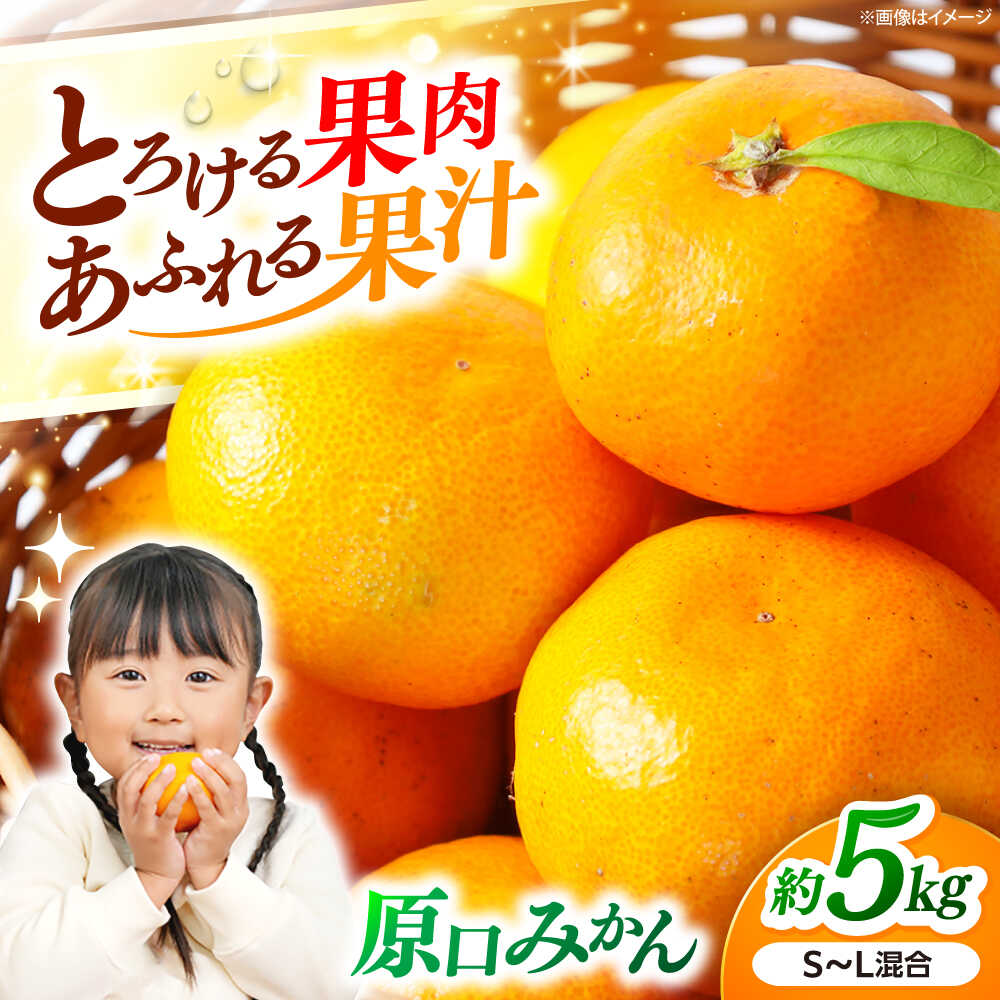 【11月中旬より発送予定】みかんドーム特選 原口みかん 約5kg ＜道の駅さいかい みかんドーム＞[CAI039] 長崎 西海 みかん 蜜柑 ミカン 柑橘 温州みかん 果物 フルーツ 贈答 ギフト