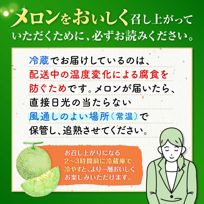 【ふるさと納税】【先行予約】【2026年5月下旬より順次発送】 タカミ メロン 2玉 (計3.7kg～3.9kg)＜白石農園＞ [CBI001] メロン タカミメロン 果物 フルーツ 贈答 ギフト プレゼント お祝い めろん サムネイル2