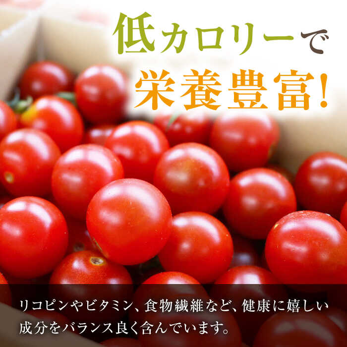 【ふるさと納税】【11月より配送開始】【 訳あり 】 ミニトマト 約3kg ＜白石農園＞ [CBI003] トマト 訳あり 不揃い サラダ 料理 甘味 酸味 食べやすい 子供 野菜 甘い 規格外 野菜 ミニトマト ミディトマト サムネイル3