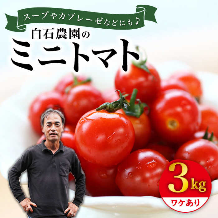 【11月より配送開始】【 訳あり 】 ミニトマト 約3kg ＜白石農園＞ [CBI003] トマト 訳あり 不揃い サラダ 料理 甘味 酸味 食べやすい 子供 野菜 甘い 規格外 野菜 ミニトマト ミディトマト