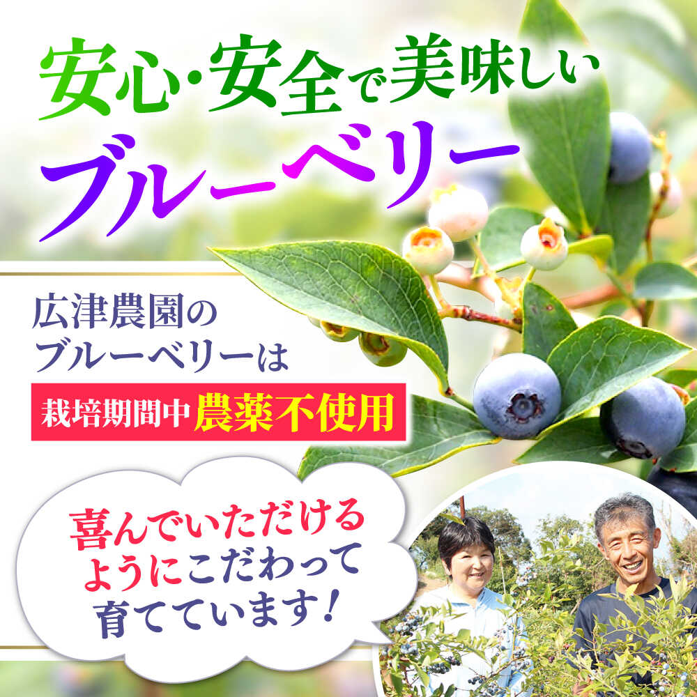 【ふるさと納税】【2026年6月中旬より順次発送】【栽培期間中 農薬不使用】完熟 ブルーベリー 計1kg（500g×2パック）＜広津農園＞ [CBN008] 長崎 西海市 ブルーベリー 完熟 果物 フルーツ 新鮮 冷蔵 サムネイル2
