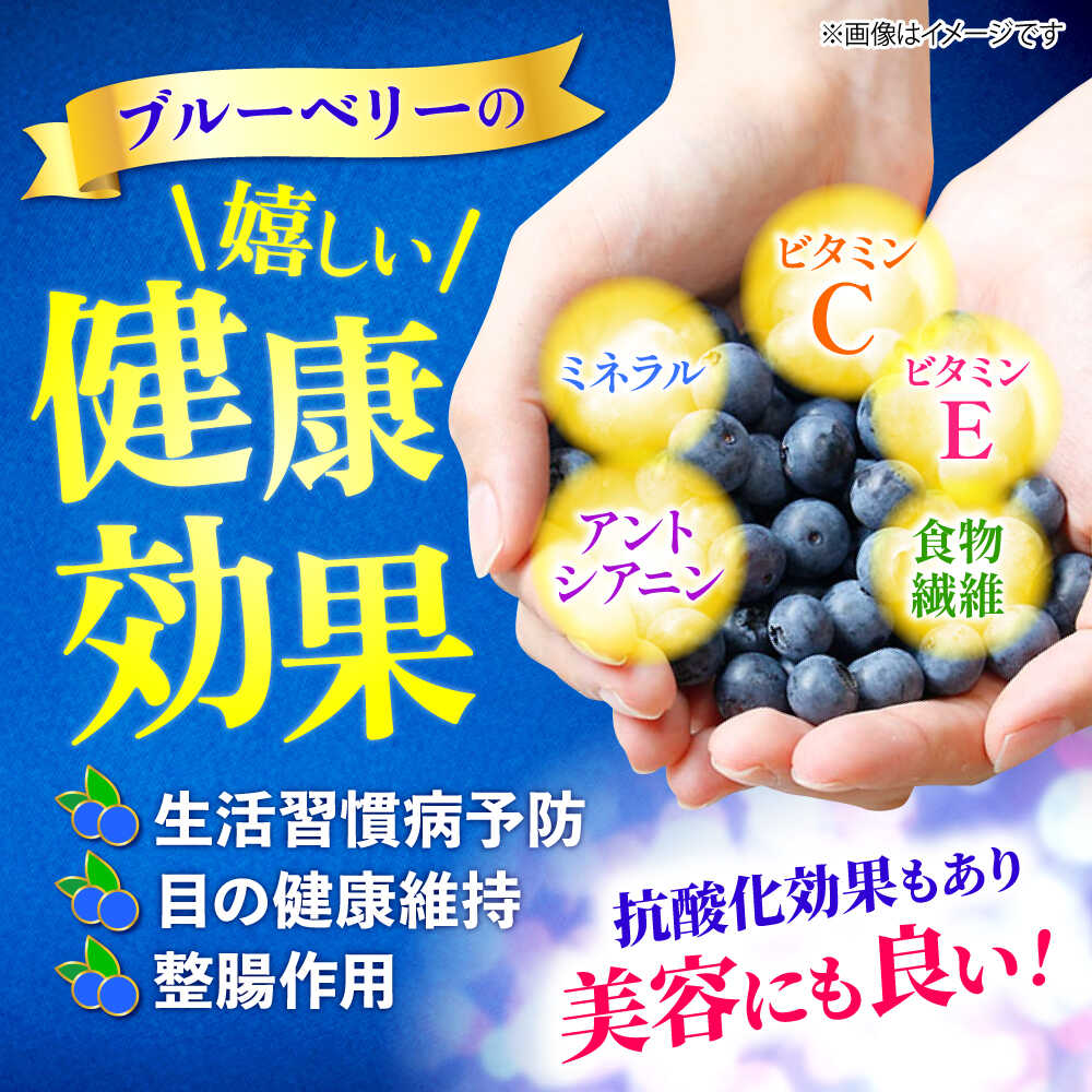 【ふるさと納税】【2026年6月中旬より順次発送】【栽培期間中 農薬不使用】完熟 ブルーベリー 計1kg（500g×2パック）＜広津農園＞ [CBN008] 長崎 西海市 ブルーベリー 完熟 果物 フルーツ 新鮮 冷蔵 サムネイル3