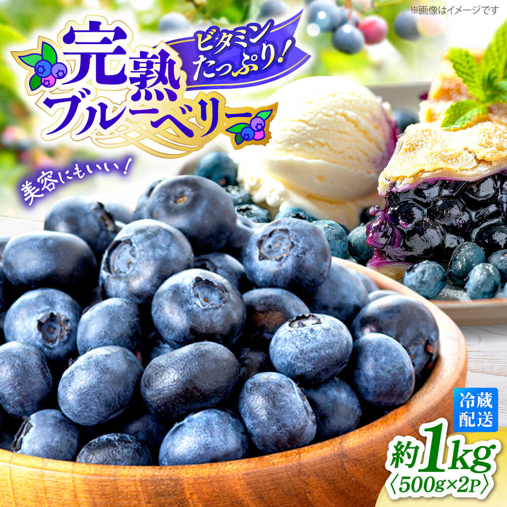 【2026年6月中旬より順次発送】【栽培期間中 農薬不使用】完熟 ブルーベリー 計1kg（500g×2パック）＜広津農園＞ [CBN008] 長崎 西海市 ブルーベリー 完熟 果物 フルーツ 新鮮 冷蔵