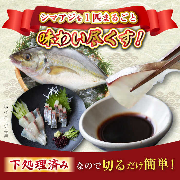 【ふるさと納税】【先行予約】【下処理済み】 シマアジ 堪能5点 セット ＜大島水産種苗＞ [CBW006] 長崎 西海 あじ 鯵 アジ 魚 魚介 海鮮 ブロック 切り身 下処理済み 簡単 切るだけ 刺身 刺し身 煮付け 味噌汁 アジ 鯵 贈答 ギフト - 画像3